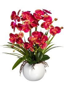 Creativ green Kunstorchidee Vlinderorchidee in een keramische pot (1 stuk) kunstorchidee&euml;n beige