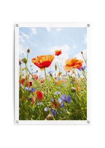 Reinders! Poster Bloemenveld Outdoor voor tuin of balkon bloemen multicolor