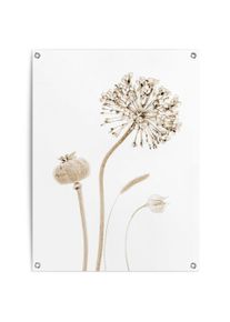 Reinders! Poster Droogbloemen Outdoor voor tuin of balkon bloemen beige