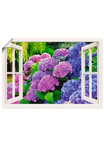 Artland Artprint Blik uit het venster hortensia's in de tuin als artprint op linnen, poster in verschillende formaten maten foto schilderijen paars
