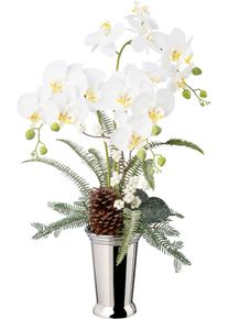 Creativ green Winterse kunstplant Kerst versiering Arrangement in keramische vaas, versierd met kegels, bessen en varen takken (1 stuk) kunstplanten