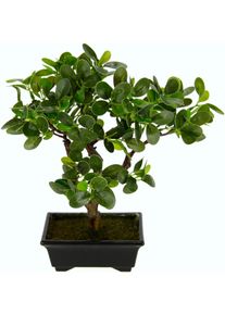 I.GE.A. Kunstbonsai Ginseng-bonsai in plastic bonsaipotten (1 stuk) kunstbonsais groen