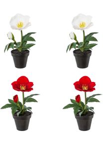 Creativ green Winterse kunstplant Kerst versiering in pot, in 4-delige set (2x kleur rood en 2x kleur wit) (4 stuks) kunstplanten multicolor