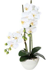 Creativ green Kunstplant Orchidee (1 stuk) kunstplanten wit