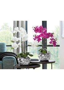 Creativ green Kunstplant Orchidee (1 stuk) kunstplanten paars