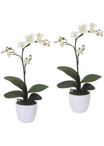 Creativ green Kunstplant Vlinderorchidee in een keramische pot (set, 2 stuks) kunstplanten beige