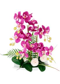 I.GE.A. Kunstbloem Orchideeën (1 stuk) kunstbloemen roze