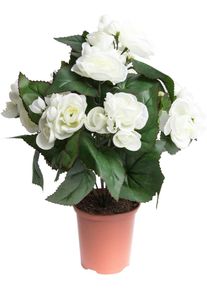 Botanic-Haus Kunstbloem Begonia in pot (1 stuk) kunstbloemen wit