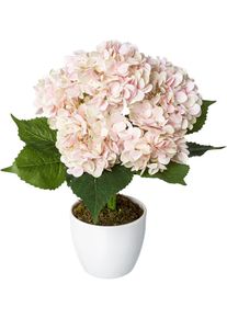Creativ green Kunstplant Hortensia in een keramische pot (1 stuk) kunstplanten roze