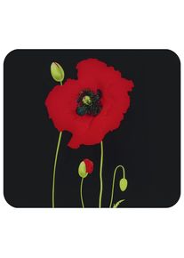 Maximex Kookplaatdeksel Multi Model Klaproos Spatscherm, fornuisscherm, snijplank, voor keramische kookplaten snijplanken zwart