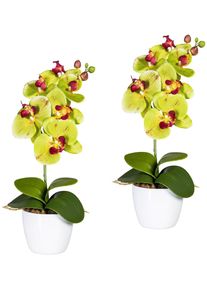 Creativ green Kunstplant Vlinderorchidee in een keramische pot (set, 2 stuks) kunstplanten groen