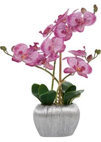 Home Affaire Kunstplant Orchidee Kunstorchidee, in een pot (1 stuk) kunstplanten paars