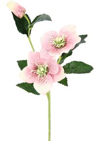 I.GE.A. Kunstbloem Kerstroos Kunstmatige zijden bloemen, 5-delige set (5 stuks) kunstbloemen roze