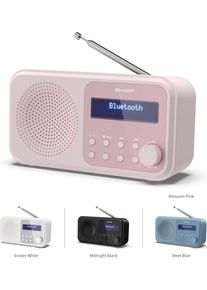 Sharp Radio DR-P420 alle radio roze