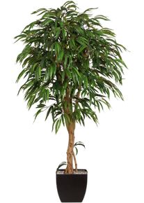 Creativ green Kunstplant Weeping-ficus (2-delig) kunstplanten groen