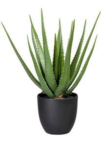 Creativ green Kunst-potplanten Aloe (1 stuk) kunstplanten groen