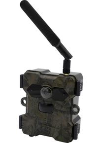 Technaxx Wildlife-camera 4G Wildcam TX-189 + zonnepaneel bewakingscamera's maat -