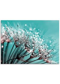 Artland Print op glas Glinsterende pluizenbol I glazen artprint blauw