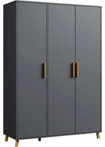 Rauch Draaideurkast Kledingkast kast garderobe waskast SHINJO Grepen en voeten van massief hout, veel opbergruimte MADE IN GERMANY kledingkasten