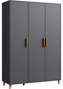 Rauch Draaideurkast Kledingkast kast garderobe waskast SHINJO Grepen en voeten van massief hout, veel opbergruimte MADE IN GERMANY kledingkasten