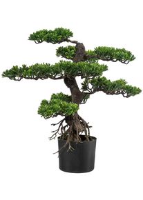 Creativ green Kunstbonsai Bonsai (1 stuk) kunstbonsais groen