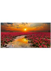 Artland Print op glas Zonneschijn bloeiende lotusbloem bloemen oranje