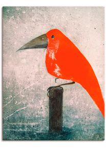 Artland Artprint De rode vogel als artprint op linnen, poster in verschillende formaten maten foto schilderijen rood