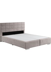 COTTA Boxspring Simba boxsprings maat Fijne structuurstof beige