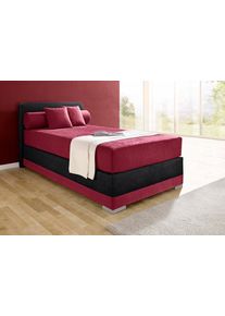 Maintal Boxspring Lago in 3 verschillende matrassoorten, h2 of h3 boxsprings maat Micro-velours rood