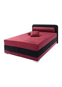 Maintal Boxspring Lago in 3 verschillende matrassoorten, h2 of h3 boxsprings maat Micro-velours rood