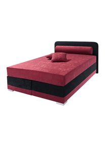 Maintal Boxspring Lago in 3 verschillende matrassoorten, h2 of h3 boxsprings maat Micro-velours rood