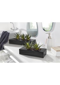 Creativ green Kunstcactus (1 stuk) kunstcactussen groen