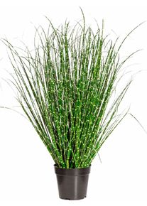 Creativ green Kunstgras Miscanthus Zebrinus (1 stuk) kunstgrassen groen