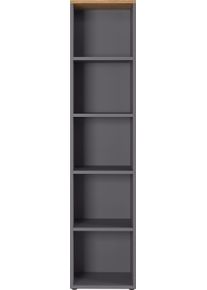 Germania Ordnerrek GW-Agenda archiefkast met verstelbare planken, breedte 45 of 80 cm, made in germany boekenkasten grijs