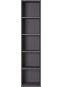 Germania Ordnerrek GW-Agenda archiefkast met verstelbare planken, breedte 45 of 80 cm, made in germany boekenkasten grijs