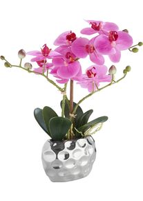 LEONIQUE Kunstplant Orchidee Kunstorchidee, in pot, bestseller, meer dan 2500 4,5-sterren beoordelingen (1 stuk) kunstplanten paars