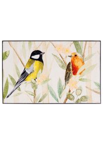 wash+dry by Kleen-Tex Mat deurmatten maat 9 multicolor