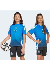 adidas Performance Voetbalshirt JB TR JSY Y jongens voetbalshirts maat 128 blauw