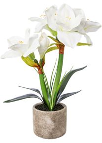 Creativ deco Winterse kunstplant Kerst versiering kunstplanten wit