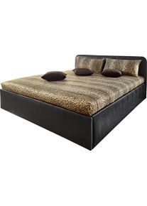 WESTFALIA Polsterbetten Gestoffeerd bed met bedkist bij uitvoering met matras bedden zwart