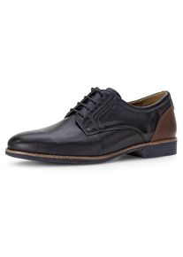 Pius Gabor Veterschoenen , blokhak, feest schoen, business schoen g-breedte (=breed) heren veterschoenen maat 7 (40,5) blauw