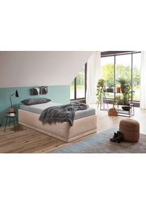 WESTFALIA Polsterbetten Gestoffeerd bed Texel Comforthoogte met sierkussen, bedkist bij uitvoering met matras bedden maat Microvezel bruin