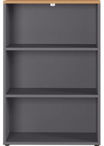 Germania Ordnerrek GW-Agenda archiefkast met verstelbare planken, breedte 45 of 80 cm, made in germany boekenkasten grijs