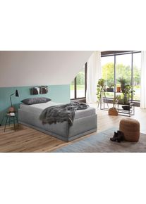 WESTFALIA Polsterbetten Gestoffeerd bed Texel Comforthoogte met sierkussen, bedkist bij uitvoering met matras bedden maat Microvezel grijs