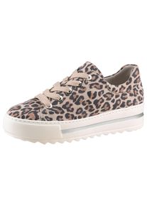 Gabor Plateausneakers Florence , vrijetijdsschoen, lage schoen, veterschoen, modieuze leoprint, breedte g dames lage sneakers maat 43 beige