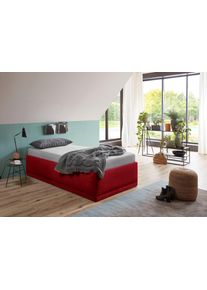 WESTFALIA Polsterbetten Gestoffeerd bed Texel Standaardhoogte met sierkussen, bedkist bij uitvoering met matras bedden maat Microvezel rood