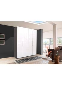 Wiemann Vouwdeurkast Loft Glazen front garderobekasten bruin