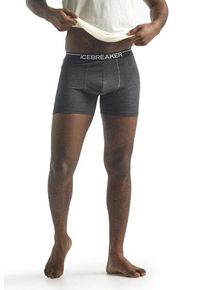 Icebreaker Merino Anatomica - Boxer - Herren