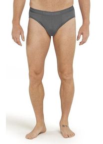 Icebreaker Merino Anatomica - Slip - Herren