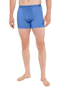 Icebreaker Merino Anatomica - Boxer - Herren